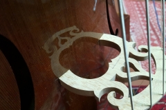 viola da gamba