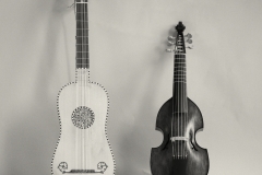 chitarra e viola da gamba ©salvosportato